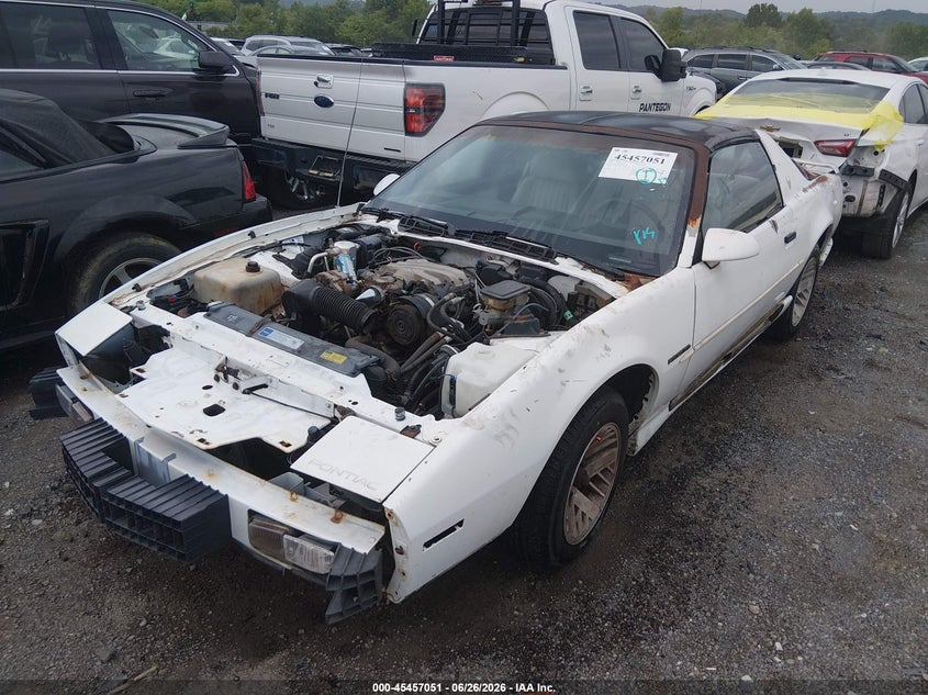1991 Pontiac Firebird VIN: 1G2FS23T3ML248676 Lot: 45457051