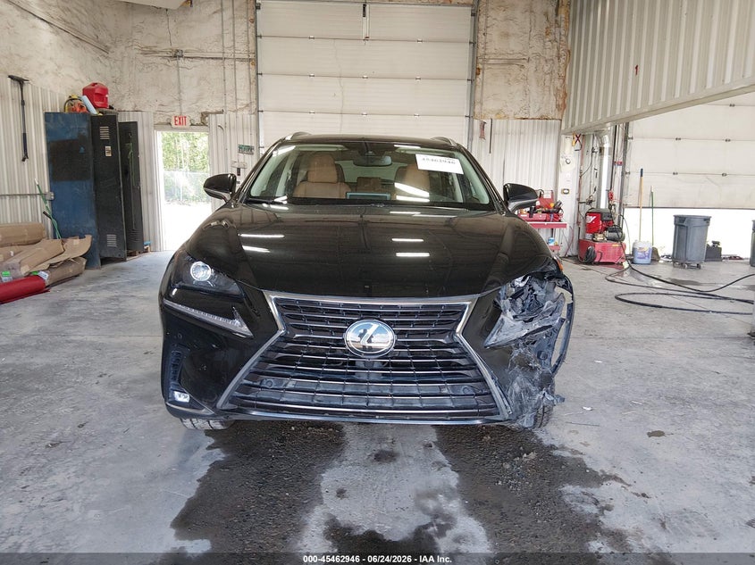 2020 Lexus Nx 300 VIN: JTJGARDZ7L2223392 Lot: 45462946