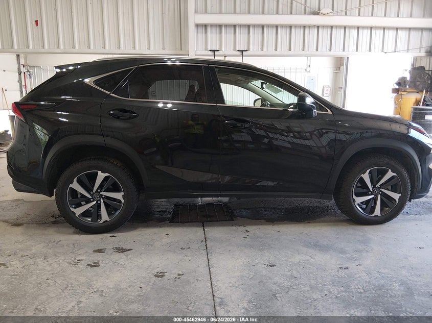 2020 Lexus Nx 300 VIN: JTJGARDZ7L2223392 Lot: 45462946