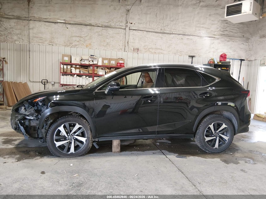 2020 Lexus Nx 300 VIN: JTJGARDZ7L2223392 Lot: 45462946