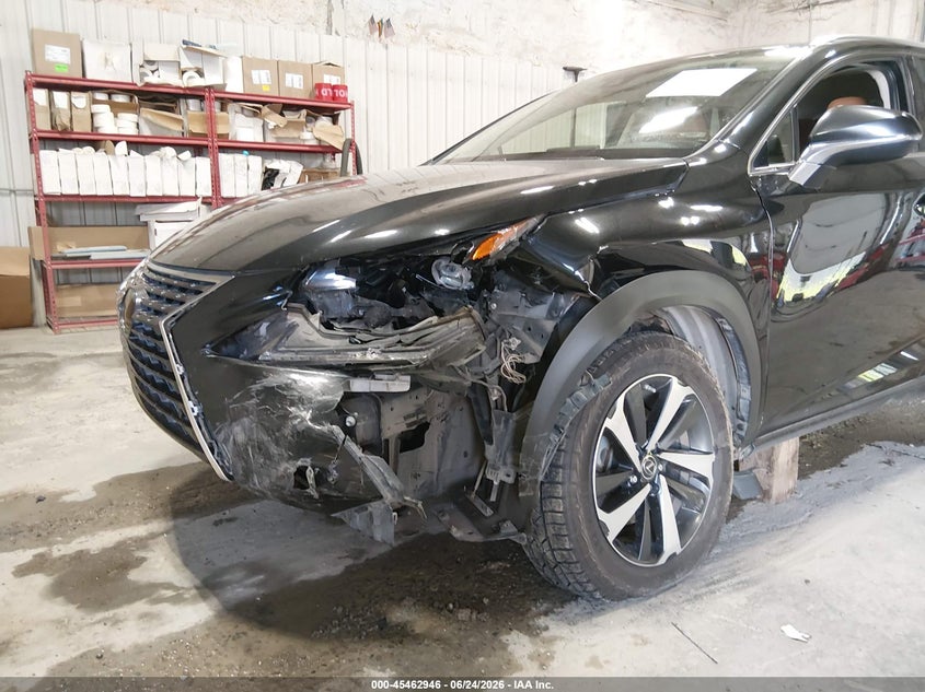 2020 Lexus Nx 300 VIN: JTJGARDZ7L2223392 Lot: 45462946