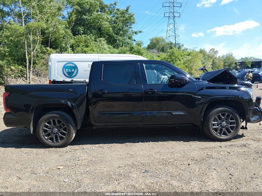 2024 Toyota Tundra Platinum VIN: 5TFNA5DB5RX221237 Lot: 45464044