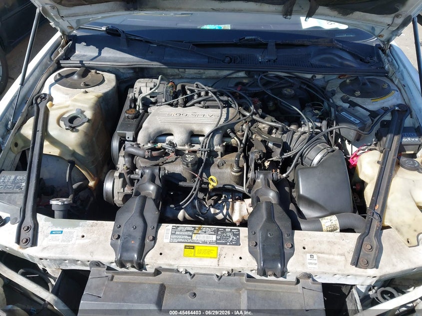 1995 Chevrolet Lumina Ls VIN: 2G1WN52MXS9205089 Lot: 45464403