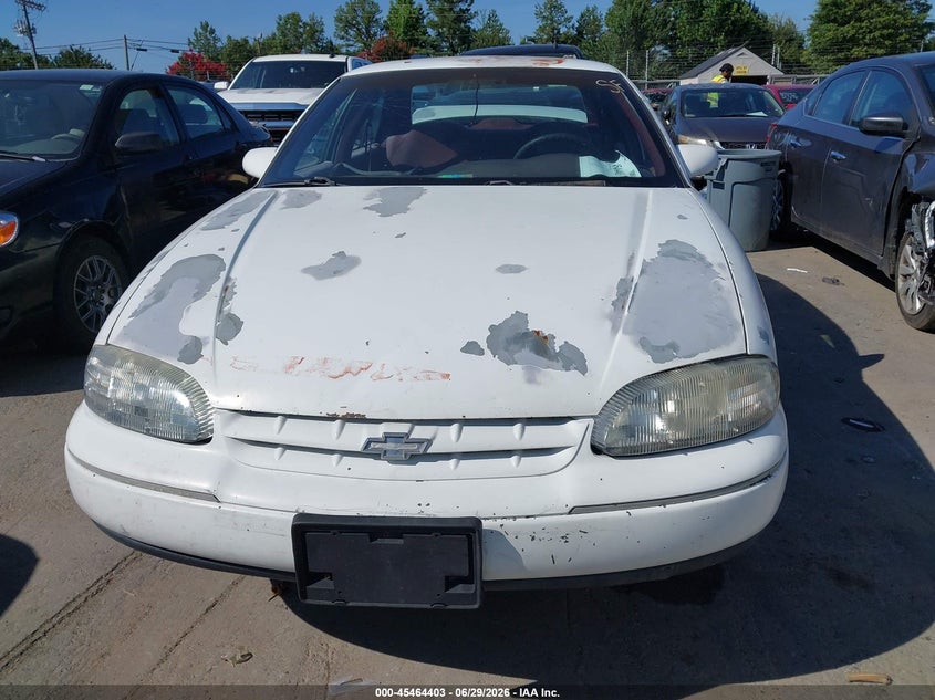 1995 Chevrolet Lumina Ls VIN: 2G1WN52MXS9205089 Lot: 45464403