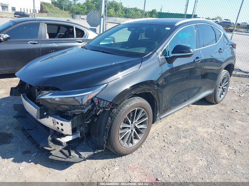 Vin: 2t2gdcazxrc011359, lot: 45964197, lexus nx 250 premium 20242