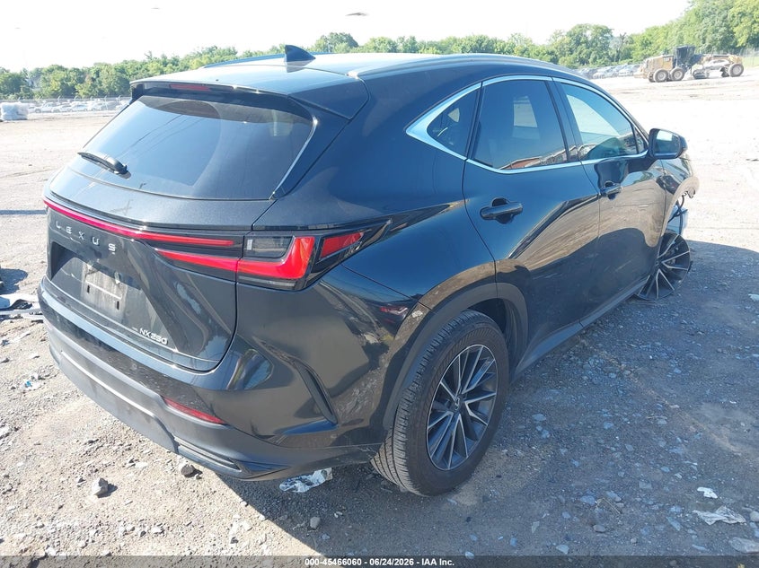 Vin: 2t2gdcazxrc011359, lot: 45964197, lexus nx 250 premium 20244