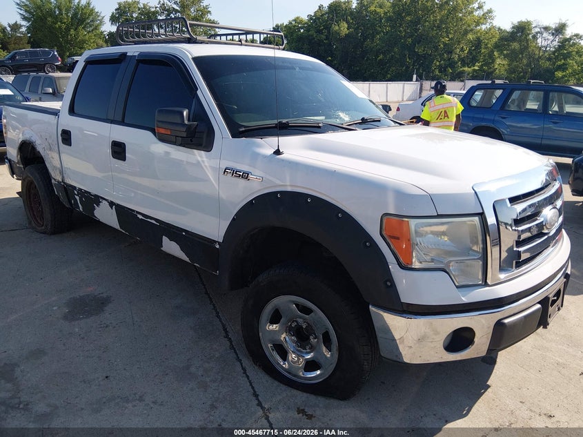 2009 FORD F-150 XL/XLT