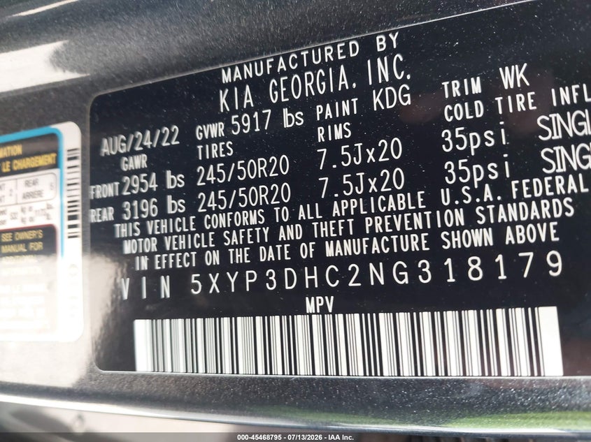 2022 Kia Telluride Ex VIN: 5XYP3DHC2NG318179 Lot: 45468795