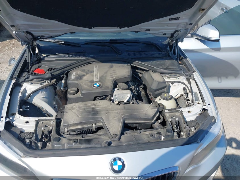 2016 BMW 228I xDrive VIN: WBA1G9C54GV599734 Lot: 45471167