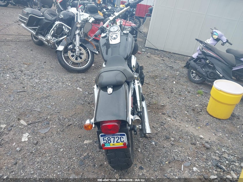 2010 Harley-Davidson Fxdf VIN: 1HD1GY414AC317568 Lot: 45471338
