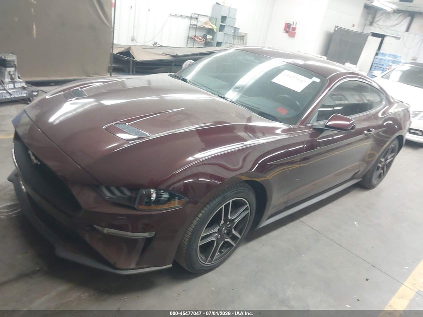 2018 Ford Mustang, Rear, IAAI, VIN 1FA6P8TH9J5146767 — photo 2