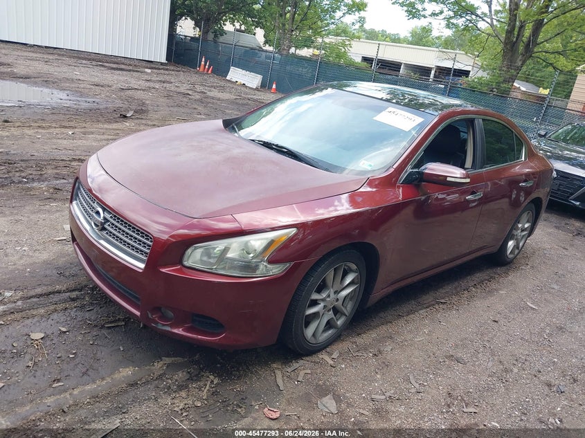 AtlanticExpress - Nissan Maxima