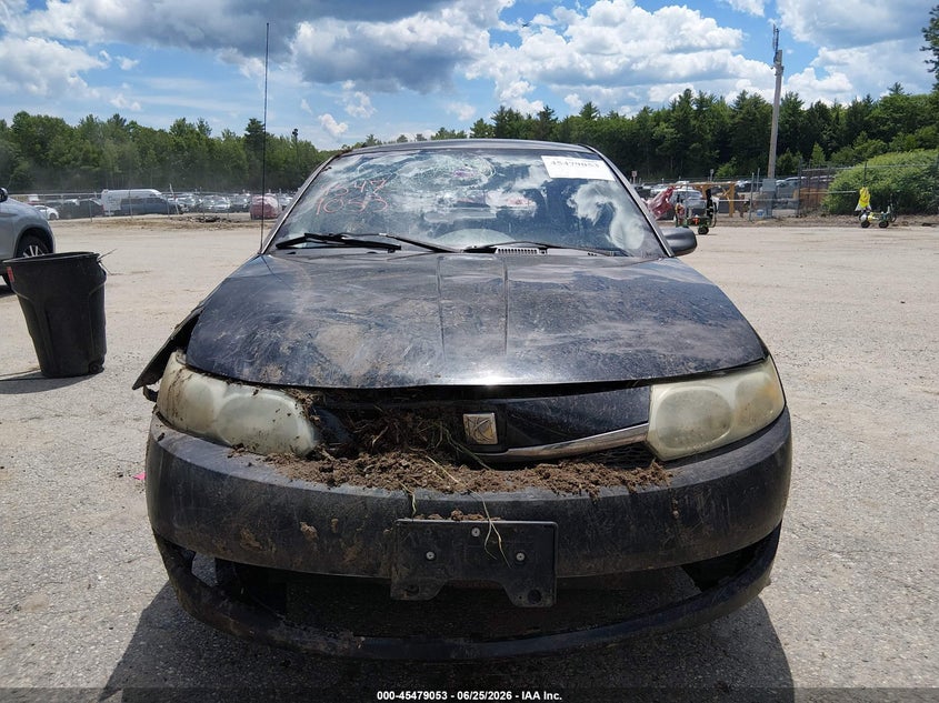2004 Saturn Ion Ion 1 VIN: 1G8AG52F94Z100785 Lot: 45479053