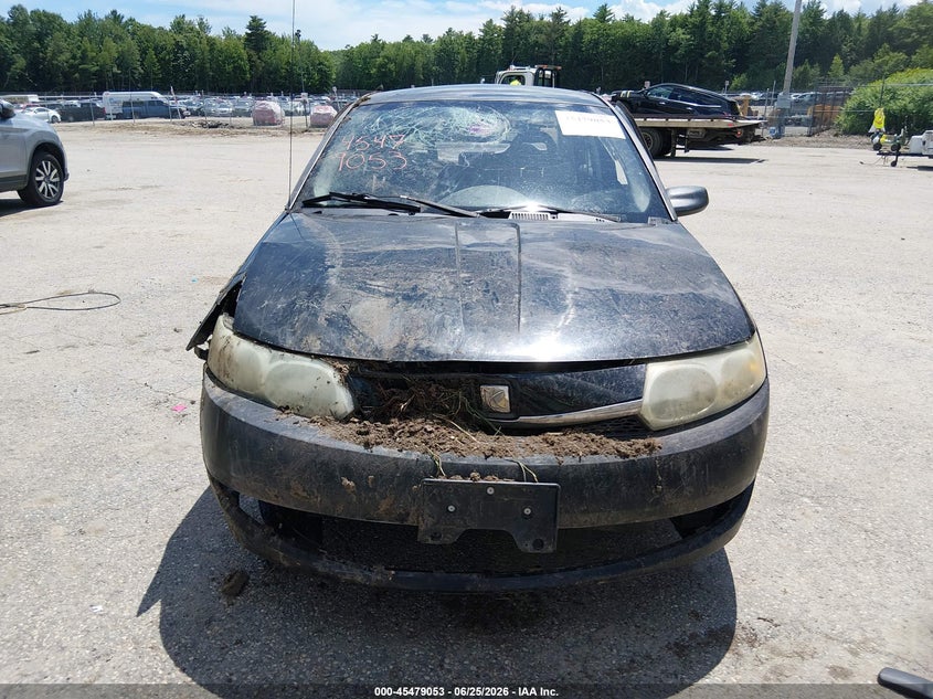 2004 Saturn Ion Ion 1 VIN: 1G8AG52F94Z100785 Lot: 45479053