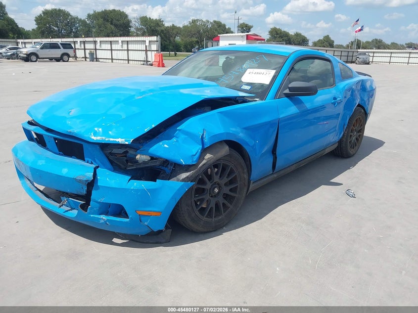 AtlanticExpress - Ford Mustang