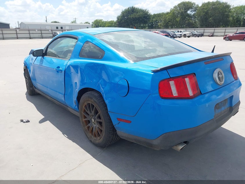 AtlanticExpress - Ford Mustang