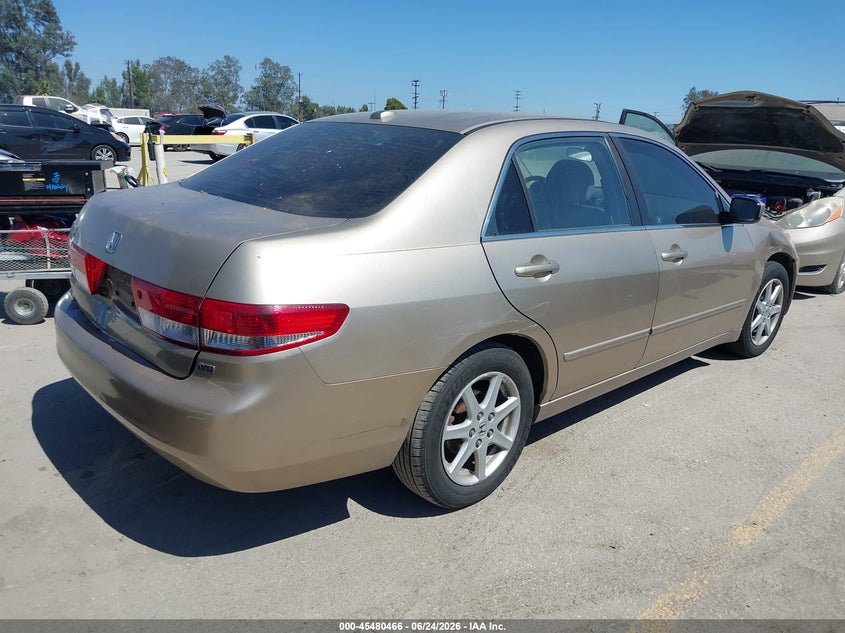 AtlanticExpress - Honda Accord
