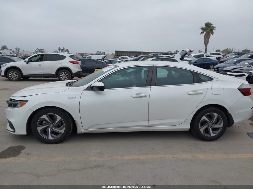 2019 Honda Insight Ex VIN: 19XZE4F51KE031514 Lot: 45480809