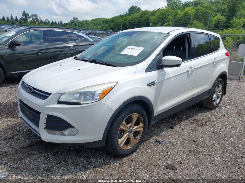 1FMCU9GX4DUB79307 2013 FORD ESCAPE SE photo 1