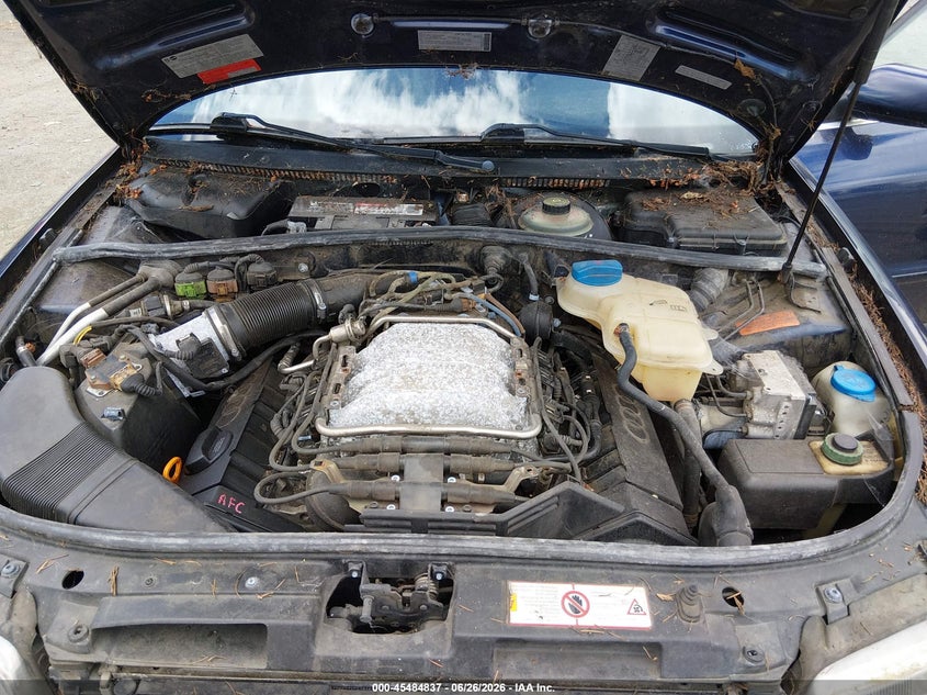 Preview 10