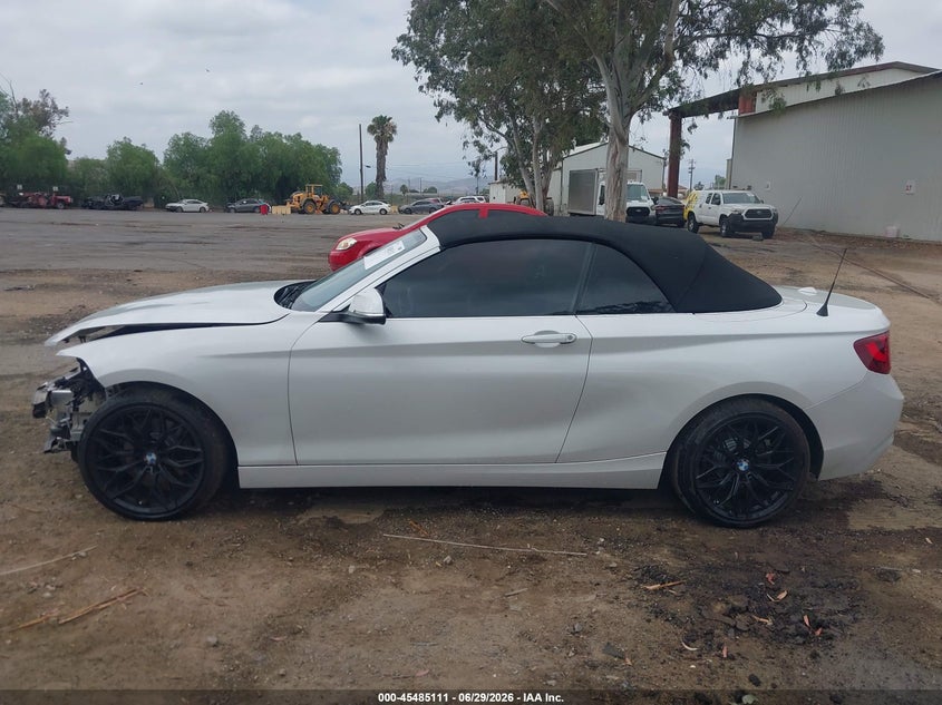 2017 BMW 230I xDrive VIN: WBA2M9C3XHV717749 Lot: 45485111