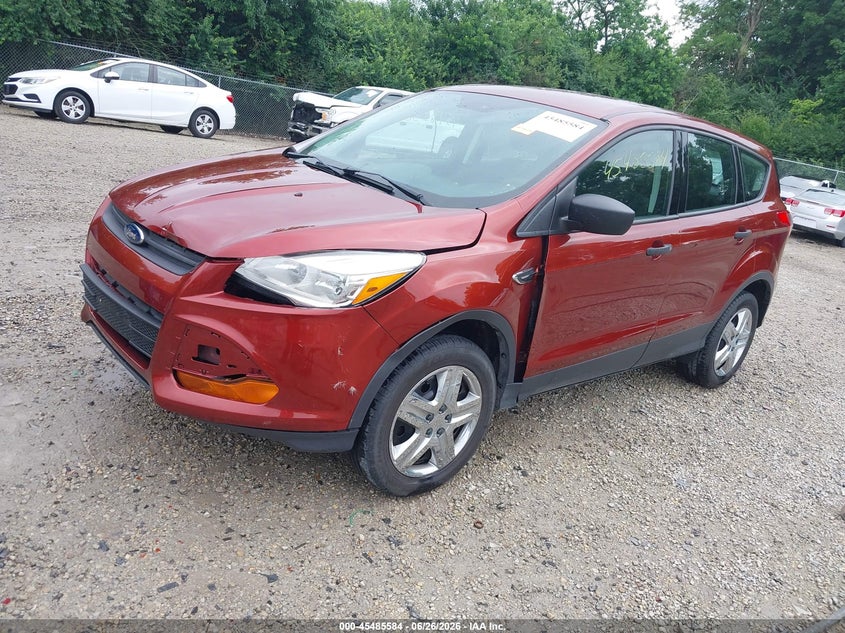 AtlanticExpress - Ford Escape