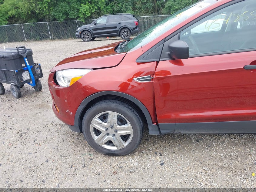 AtlanticExpress - Ford Escape