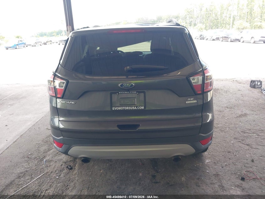 AtlanticExpress - Ford Escape