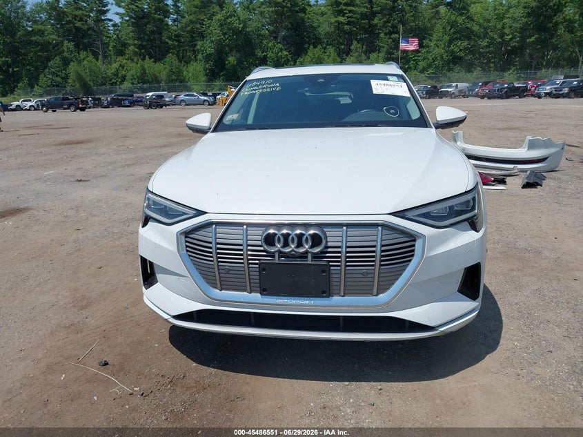 2019 Audi E-Tron Premium Plus VIN: WA1LAAGEXKB022848 Lot: 45486551