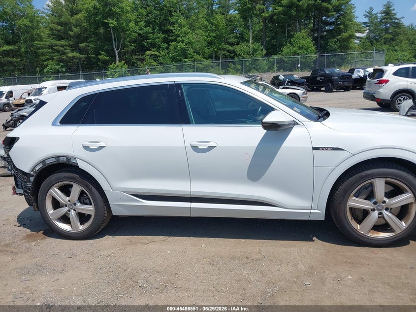 2019 Audi E-Tron Premium Plus VIN: WA1LAAGEXKB022848 Lot: 45486551