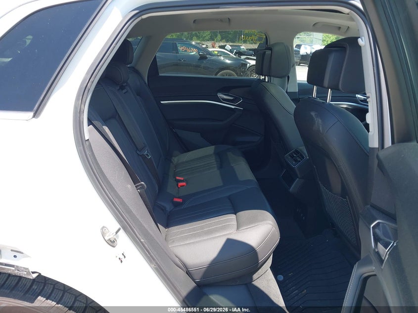 2019 Audi E-Tron Premium Plus VIN: WA1LAAGEXKB022848 Lot: 45486551