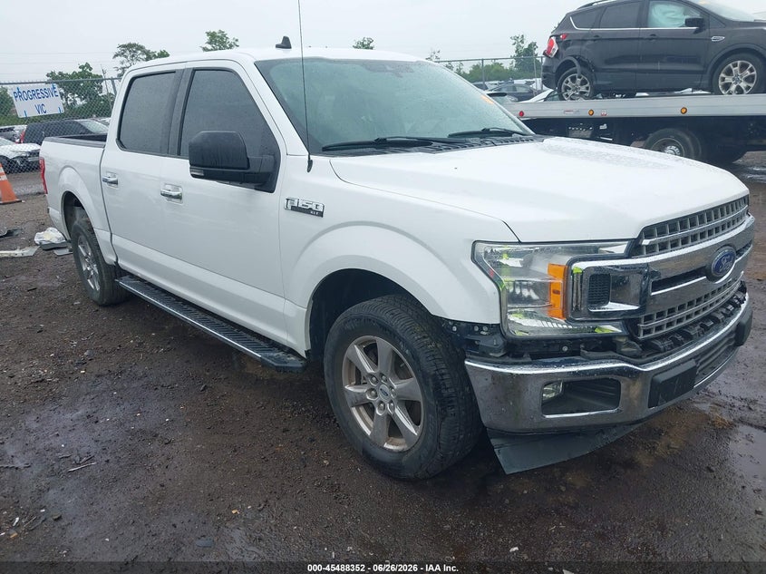 2019 FORD F-150 XLT