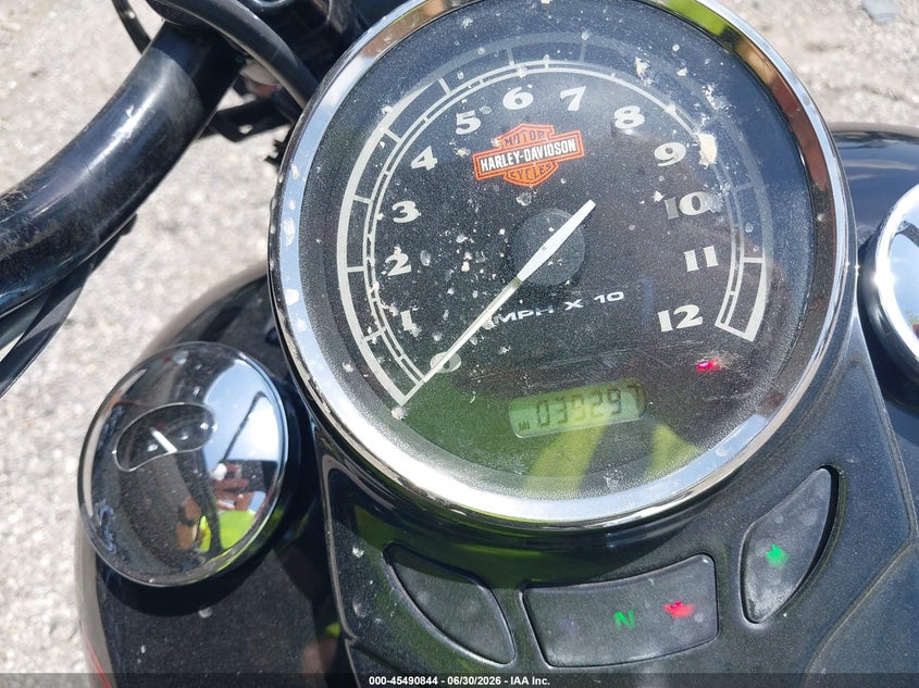 2009 Harley-Davidson Flstsb VIN: 1HD1JM5159Y018873 Lot: 45490844