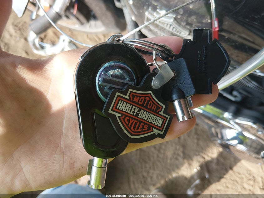 2021 Harley-Davidson Flhxs VIN: 1HD1KRP16MB637663 Lot: 45490980