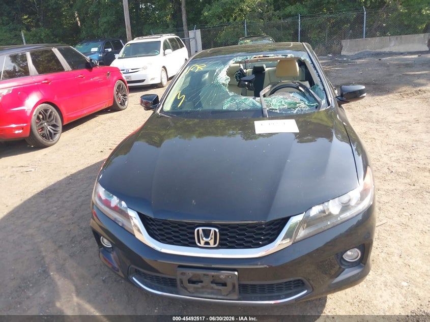 AtlanticExpress - Honda Accord