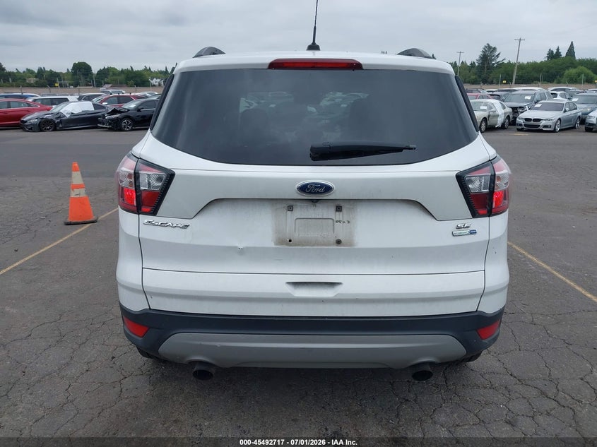 AtlanticExpress - Ford Escape