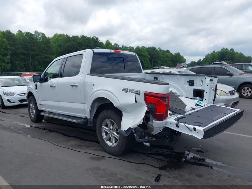 2025 FORD F-150 TRUCK 3.5L V6 FI DOHC 24V NF4