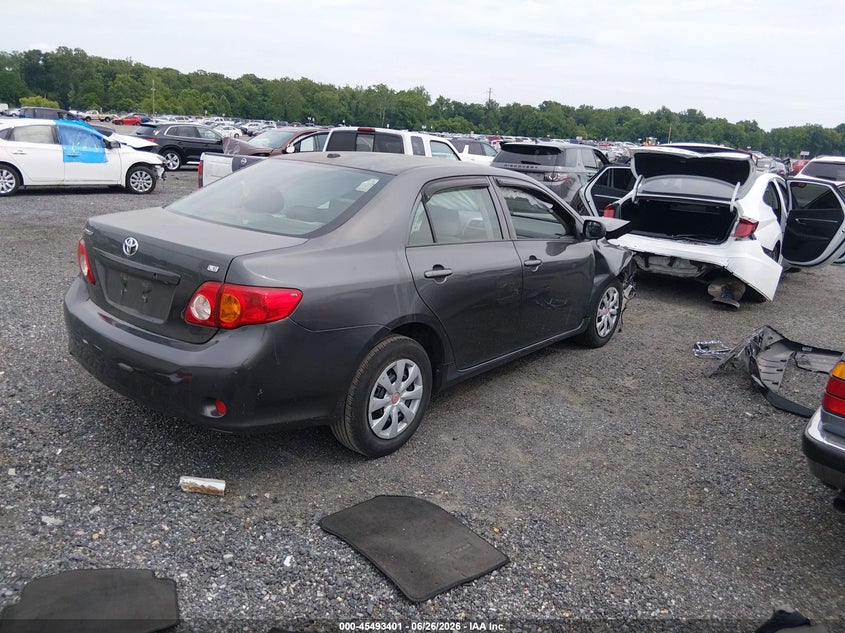 AtlanticExpress - Toyota Corolla