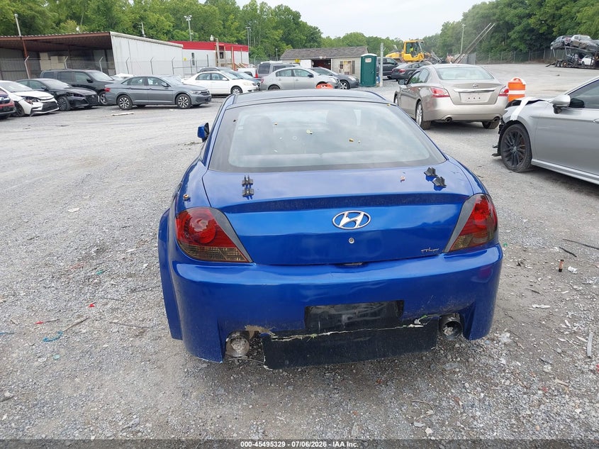 2003 Hyundai Tiburon Gt V6 VIN: KMHHN65F43U076222 Lot: 45495329