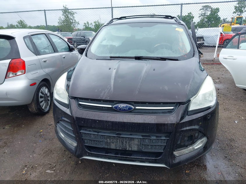 AtlanticExpress - Ford Escape
