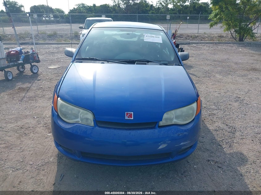 2004 Saturn Ion 2 VIN: 1G8AN12F44Z206320 Lot: 45500304
