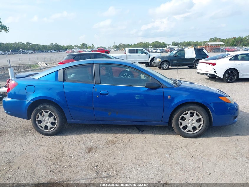 2004 Saturn Ion 2 VIN: 1G8AN12F44Z206320 Lot: 45500304