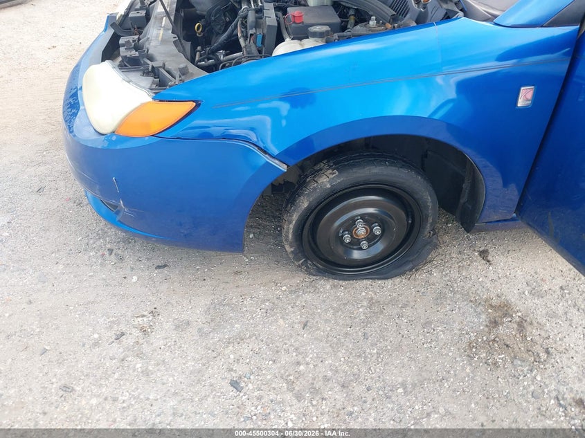2004 Saturn Ion 2 VIN: 1G8AN12F44Z206320 Lot: 45500304