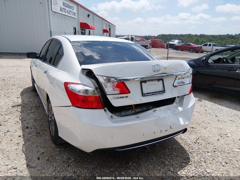 AtlanticExpress - Honda Accord