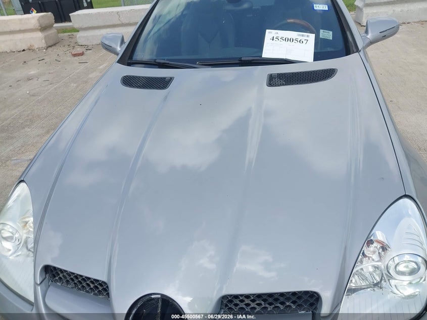 2010 Mercedes-Benz Slk 300 VIN: WDBWK5EA0AF232016 Lot: 45500567