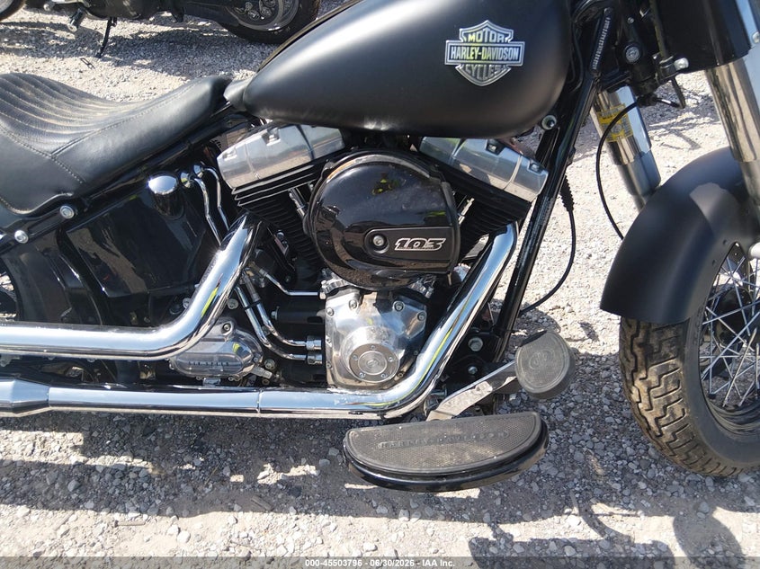 2017 Harley-Davidson Fls Softail Slim VIN: 1HD1JRV18HB016128 Lot: 45503796