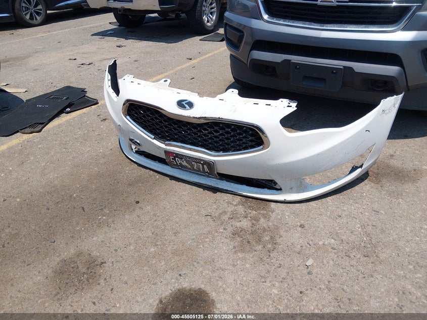 2014 Kia Cadenza Limited VIN: KNALN4D79E5162861 Lot: 45505125