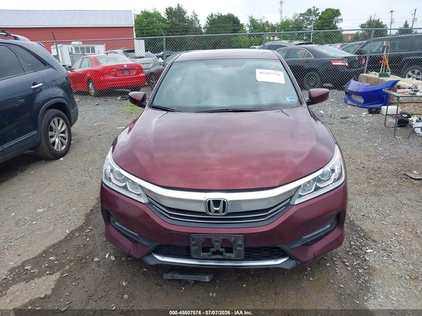 AtlanticExpress - Honda Accord