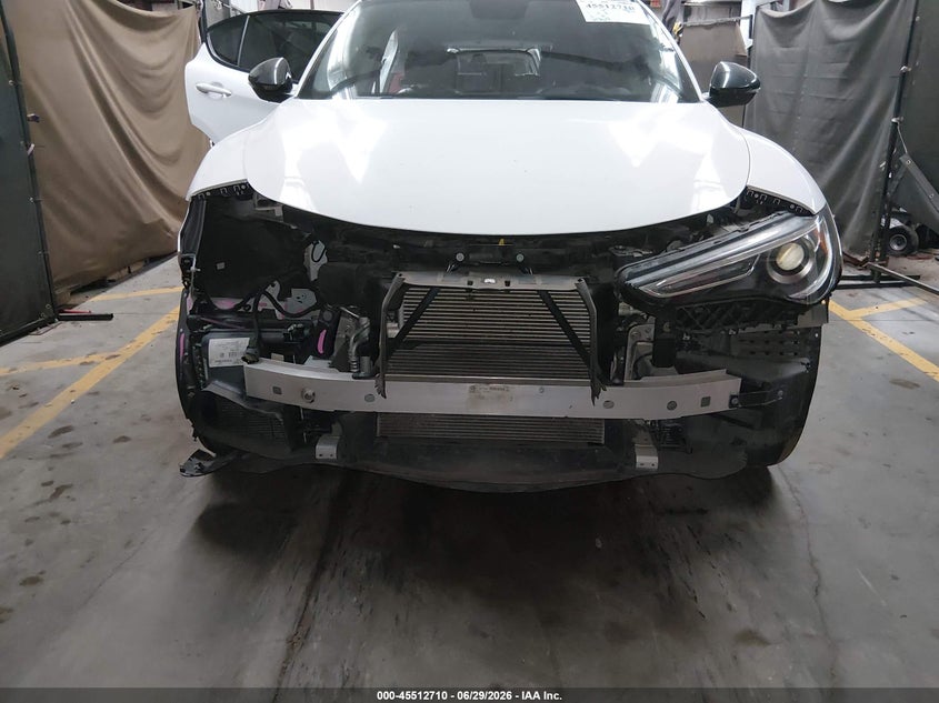 2019 ALFA ROMEO STELVIO auction photo 6