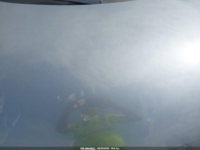 2003 Volkswagen New Beetle Gl VIN: 3VWBK21C83M439081 Lot: 45513831